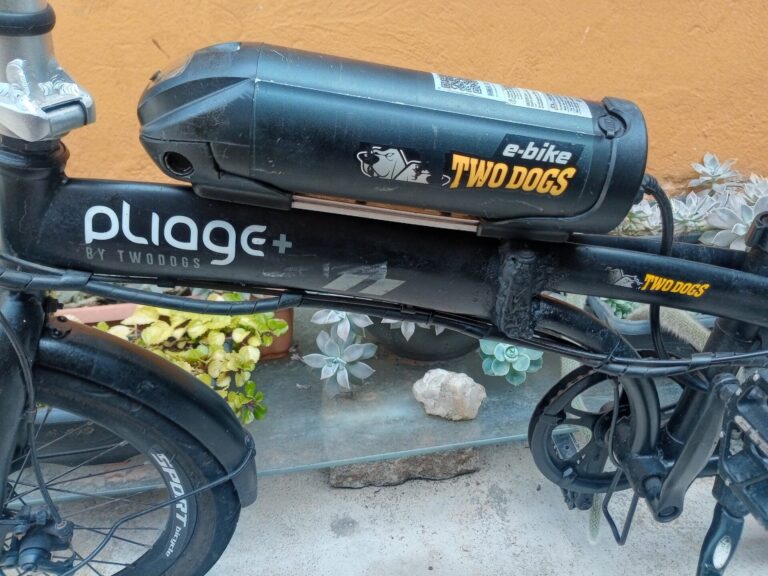 Bicicleta Elétrica 350w