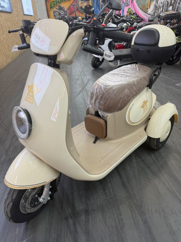 Triciclo elétrico zero km nota fiscal e um ano de garantia