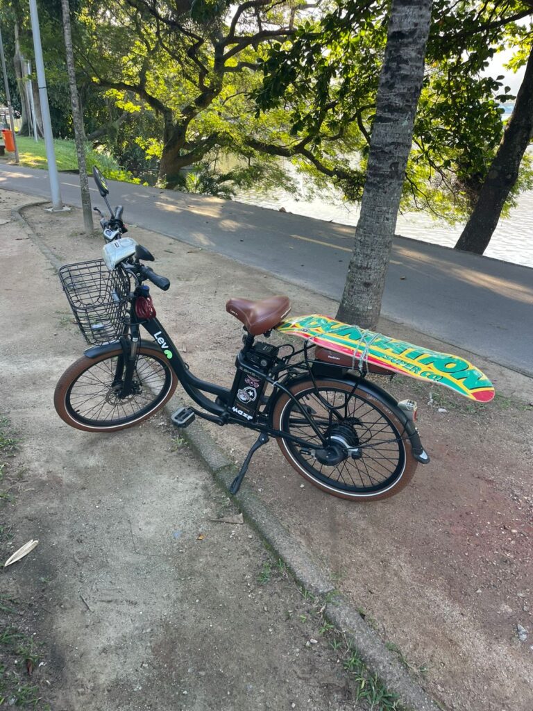 Bicicleta Elétrica E Bike L