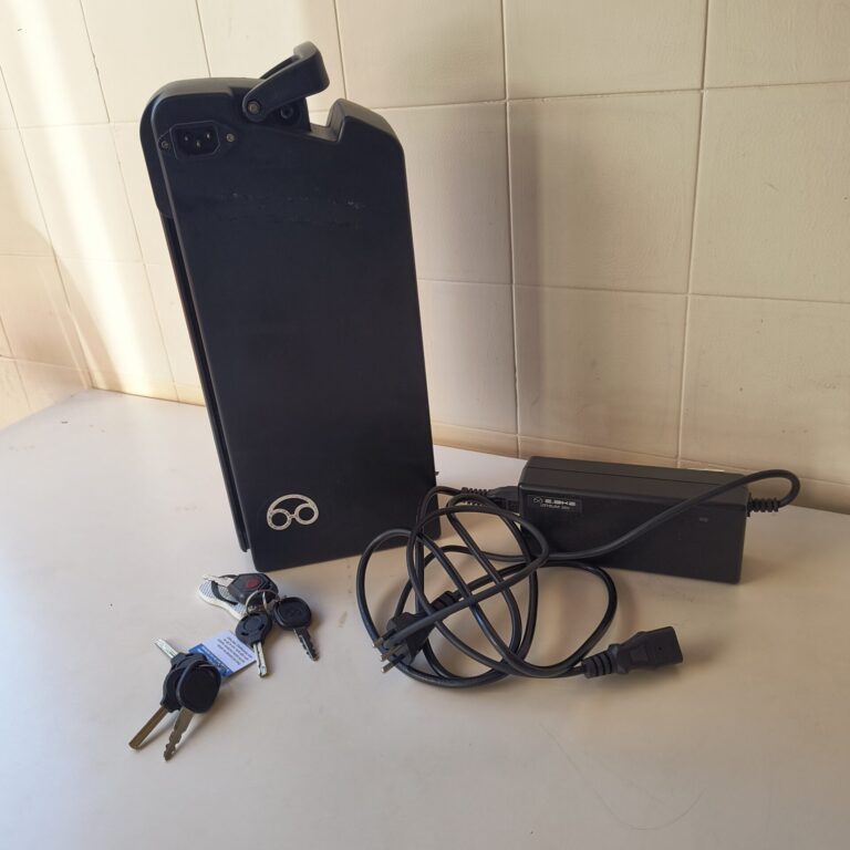 E-bike LEV, modelo Clássica, Ano 2024. Bateria removível.