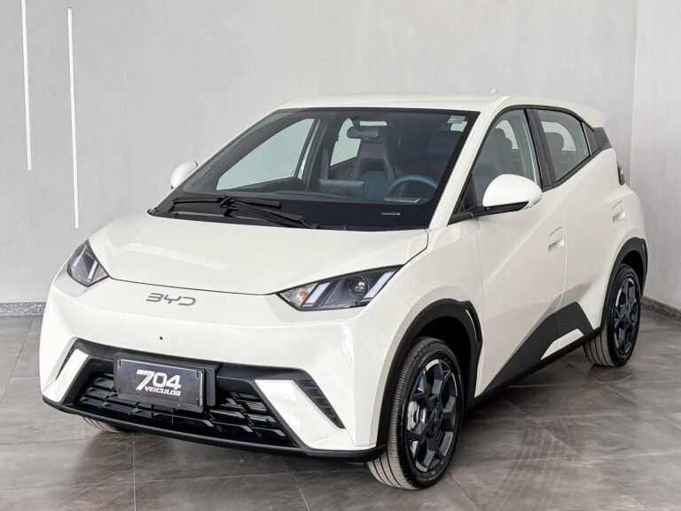 BYD DOLPHIN MINI GS — 0 KM