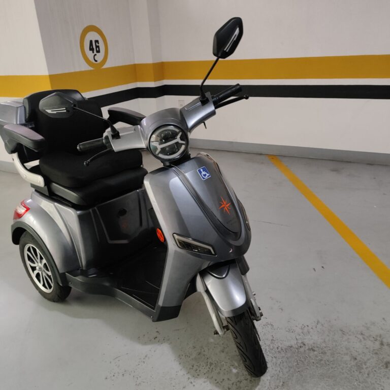Triciclo elétrico 1000 w