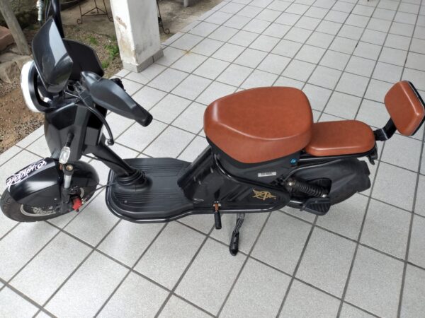 Scooter Eletrica WD2 1000w